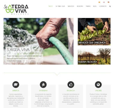 Magnifiqus Desarrollo Web - Diseño web para agricultura ecológica